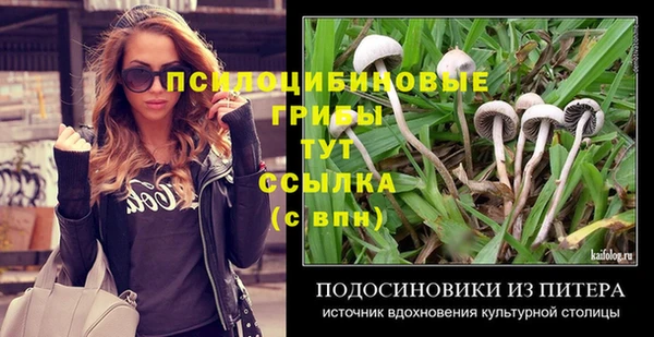дурь Михайловск
