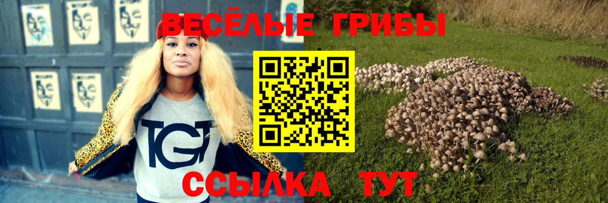 Одинцово  Псилоцибиновые грибы Magic Shrooms  продажа наркотиков  Псилоцибиновые грибы Cubensis  Вход с VPN 
