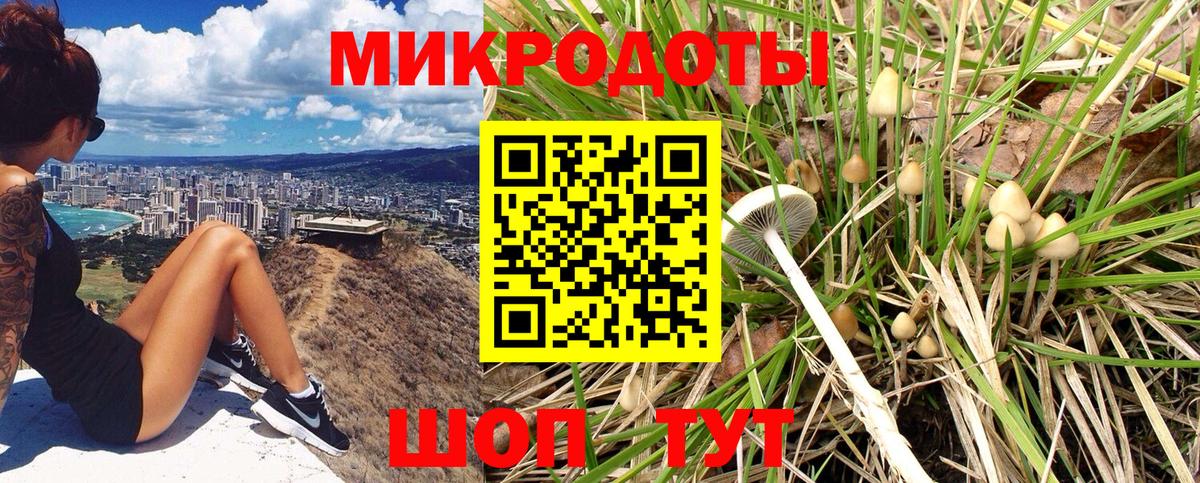 Псилоцибиновые грибы Magic Shrooms Одинцово